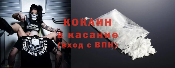 индика Армянск