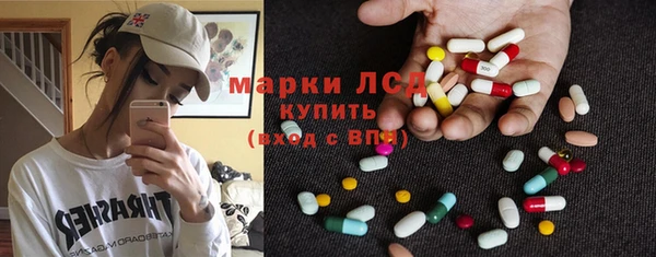 индика Покров