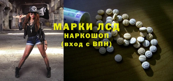 индика Армянск